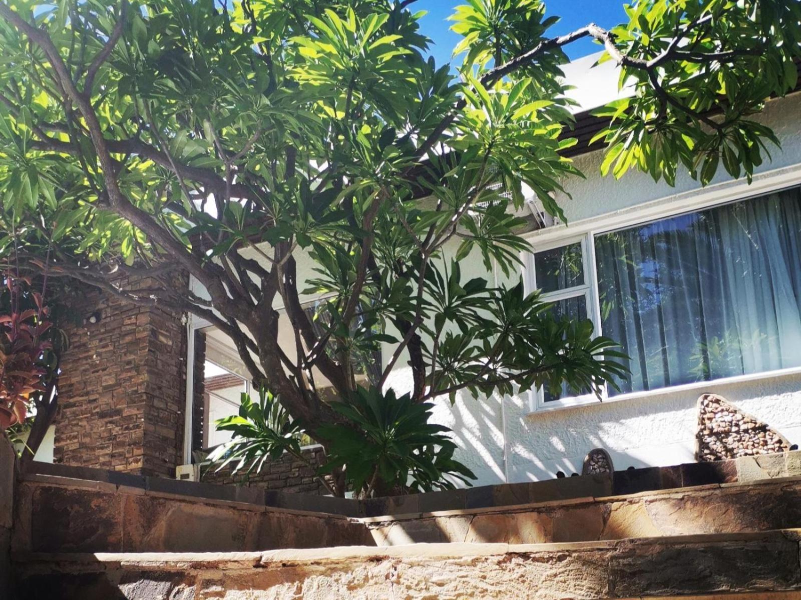 Guesthouse Terra Africa Windhoek Exterior foto